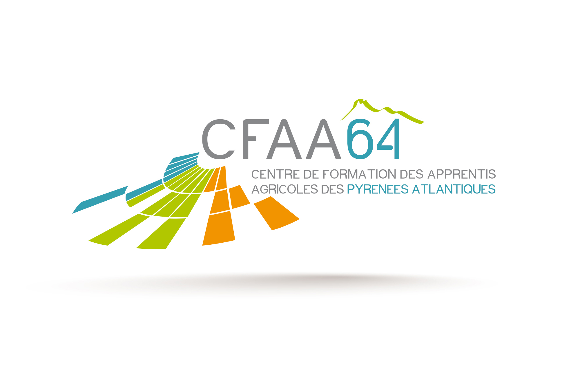 Logo CFAA 64