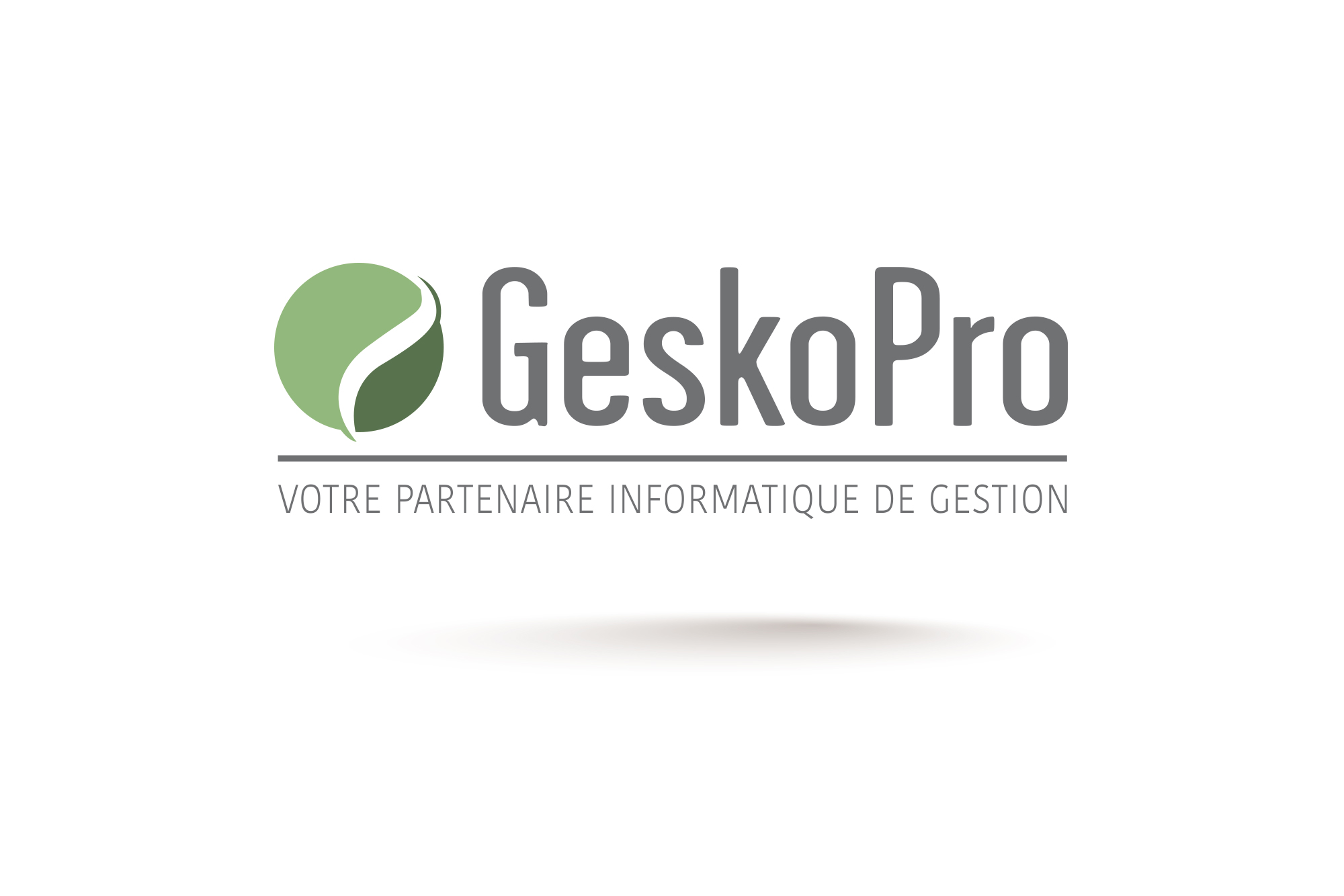 logotype geskopro